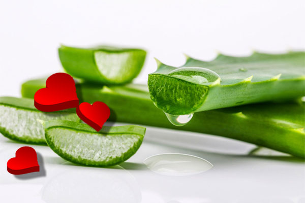 Hacks to heal your skin naturally with aloe vera