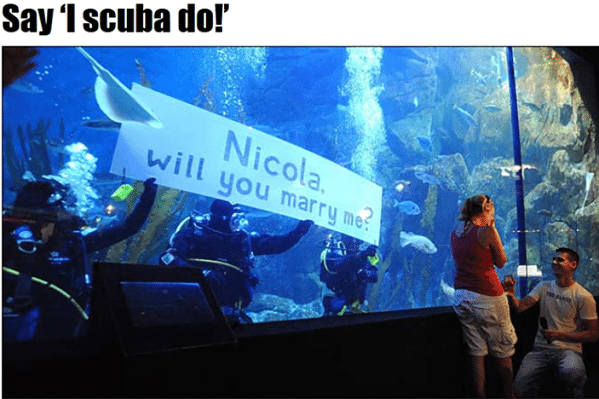 Most weird marriage proposals ever scuba